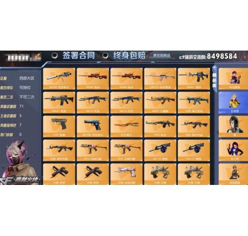 传说星骇王者魅影王者鹰关小雨战地猎狐,零